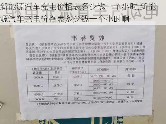 新能源汽车充电价格表多少钱一个小时,新能源汽车充电价格表多少钱一个小时啊-第2张图片-苏希特新能源