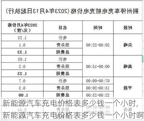 新能源汽车充电价格表多少钱一个小时,新能源汽车充电价格表多少钱一个小时啊-第3张图片-苏希特新能源