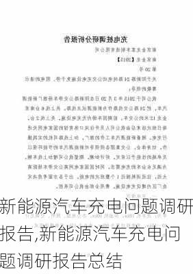 新能源汽车充电问题调研报告,新能源汽车充电问题调研报告总结-第2张图片-苏希特新能源