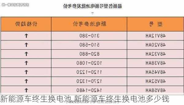 新能源车终生换电池,新能源车终生换电池多少钱-第1张图片-苏希特新能源