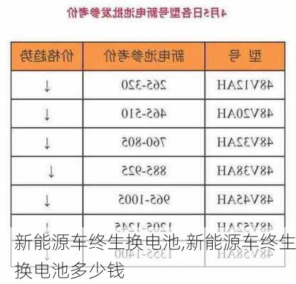 新能源车终生换电池,新能源车终生换电池多少钱-第2张图片-苏希特新能源