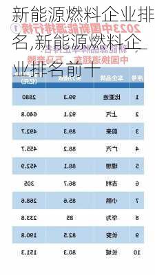 新能源燃料企业排名,新能源燃料企业排名前十-第1张图片-苏希特新能源