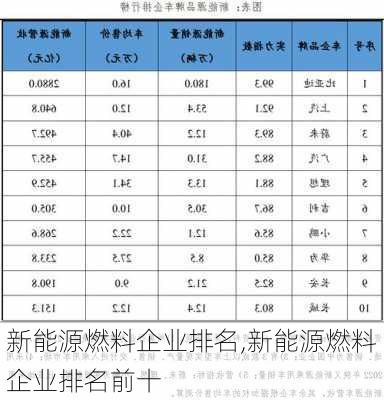 新能源燃料企业排名,新能源燃料企业排名前十-第2张图片-苏希特新能源