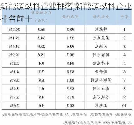 新能源燃料企业排名,新能源燃料企业排名前十-第3张图片-苏希特新能源