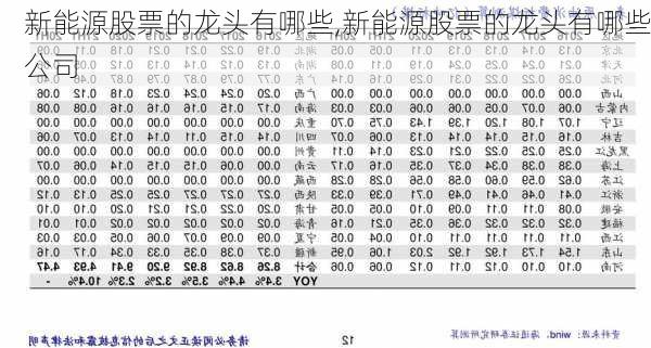 新能源股票的龙头有哪些,新能源股票的龙头有哪些公司-第2张图片-苏希特新能源