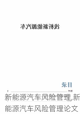 新能源汽车风险管理,新能源汽车风险管理论文-第2张图片-苏希特新能源