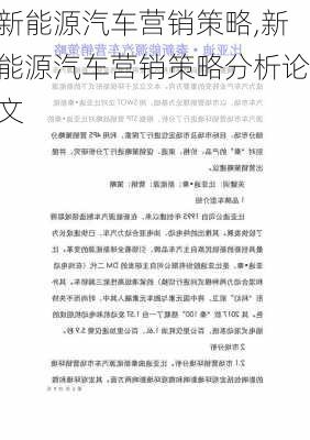 新能源汽车营销策略,新能源汽车营销策略分析论文-第3张图片-苏希特新能源