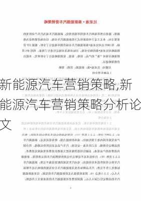 新能源汽车营销策略,新能源汽车营销策略分析论文-第2张图片-苏希特新能源