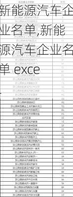 新能源汽车企业名单,新能源汽车企业名单 excel-第2张图片-苏希特新能源