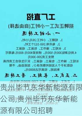 贵州毕节东华新能源有限公司,贵州毕节东华新能源有限公司招聘-第3张图片-苏希特新能源