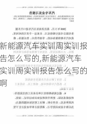 新能源汽车实训周实训报告怎么写的,新能源汽车实训周实训报告怎么写的啊-第3张图片-苏希特新能源