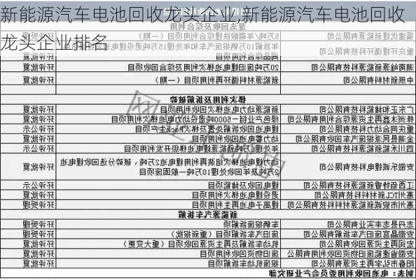 新能源汽车电池回收龙头企业,新能源汽车电池回收龙头企业排名-第3张图片-苏希特新能源