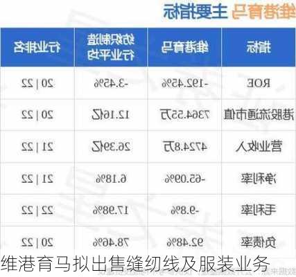 维港育马拟出售缝纫线及服装业务-第1张图片-苏希特新能源