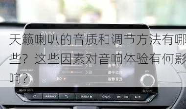 天籁喇叭的音质和调节方法有哪些？这些因素对音响体验有何影响？-第1张图片-苏希特新能源