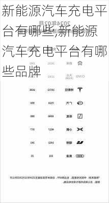 新能源汽车充电平台有哪些,新能源汽车充电平台有哪些品牌-第2张图片-苏希特新能源