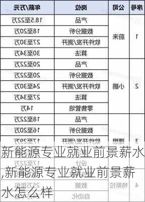 新能源专业就业前景薪水,新能源专业就业前景薪水怎么样-第3张图片-苏希特新能源