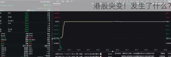 港股突变！发生了什么？-第2张图片-苏希特新能源