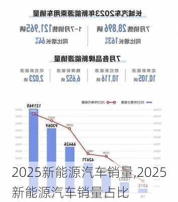 2025新能源汽车销量,2025新能源汽车销量占比-第2张图片-苏希特新能源