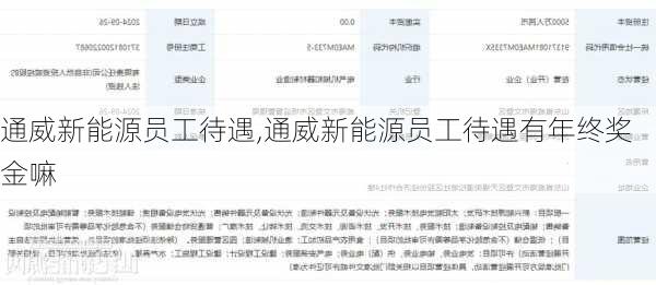 通威新能源员工待遇,通威新能源员工待遇有年终奖金嘛-第1张图片-苏希特新能源