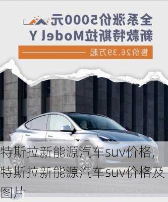 特斯拉新能源汽车suv价格,特斯拉新能源汽车suv价格及图片-第1张图片-苏希特新能源