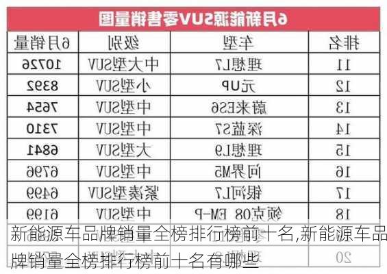 新能源车品牌销量全榜排行榜前十名,新能源车品牌销量全榜排行榜前十名有哪些-第2张图片-苏希特新能源