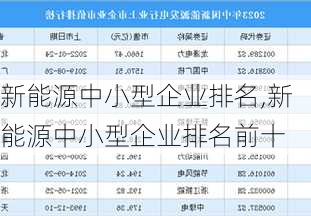 新能源中小型企业排名,新能源中小型企业排名前十-第2张图片-苏希特新能源