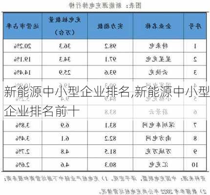 新能源中小型企业排名,新能源中小型企业排名前十-第3张图片-苏希特新能源