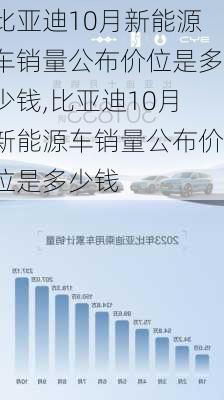 比亚迪10月新能源车销量公布价位是多少钱,比亚迪10月新能源车销量公布价位是多少钱