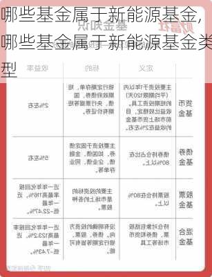 哪些基金属于新能源基金,哪些基金属于新能源基金类型-第1张图片-苏希特新能源