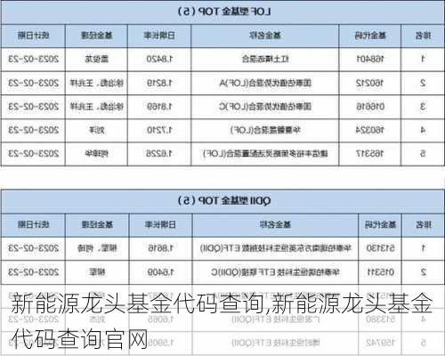 新能源龙头基金代码查询,新能源龙头基金代码查询官网-第2张图片-苏希特新能源