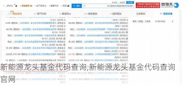 新能源龙头基金代码查询,新能源龙头基金代码查询官网-第3张图片-苏希特新能源