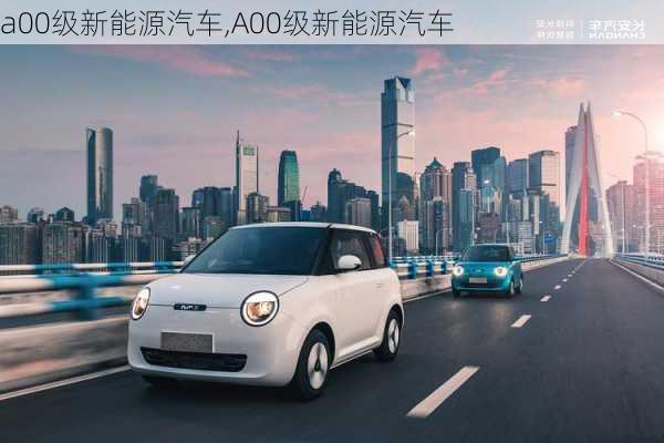 a00级新能源汽车,A00级新能源汽车-第1张图片-苏希特新能源