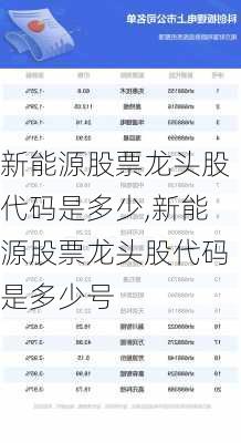 新能源股票龙头股代码是多少,新能源股票龙头股代码是多少号-第2张图片-苏希特新能源