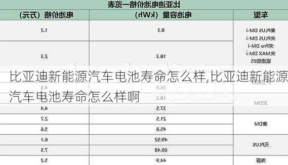 比亚迪新能源汽车电池寿命怎么样,比亚迪新能源汽车电池寿命怎么样啊