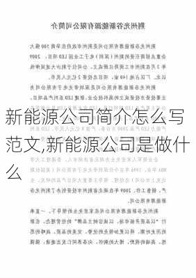 新能源公司简介怎么写 范文,新能源公司是做什么