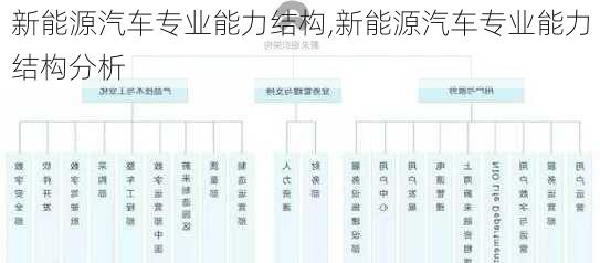 新能源汽车专业能力结构,新能源汽车专业能力结构分析-第2张图片-苏希特新能源