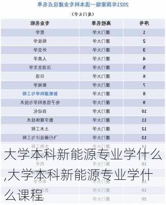 大学本科新能源专业学什么,大学本科新能源专业学什么课程