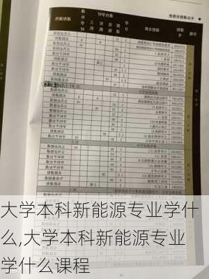 大学本科新能源专业学什么,大学本科新能源专业学什么课程-第2张图片-苏希特新能源