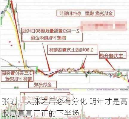 张瑜：大涨之后必有分化 明年才是高股息真真正正的下半场-第2张图片-苏希特新能源