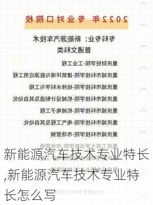 新能源汽车技术专业特长,新能源汽车技术专业特长怎么写-第2张图片-苏希特新能源