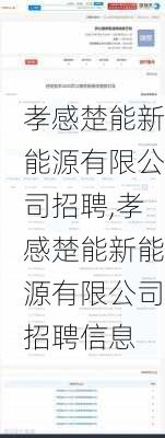 孝感楚能新能源有限公司招聘,孝感楚能新能源有限公司招聘信息-第3张图片-苏希特新能源