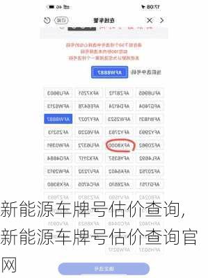 新能源车牌号估价查询,新能源车牌号估价查询官网-第2张图片-苏希特新能源