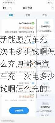 新能源汽车充一次电多少钱啊怎么充,新能源汽车充一次电多少钱啊怎么充的-第2张图片-苏希特新能源