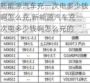 新能源汽车充一次电多少钱啊怎么充,新能源汽车充一次电多少钱啊怎么充的-第1张图片-苏希特新能源