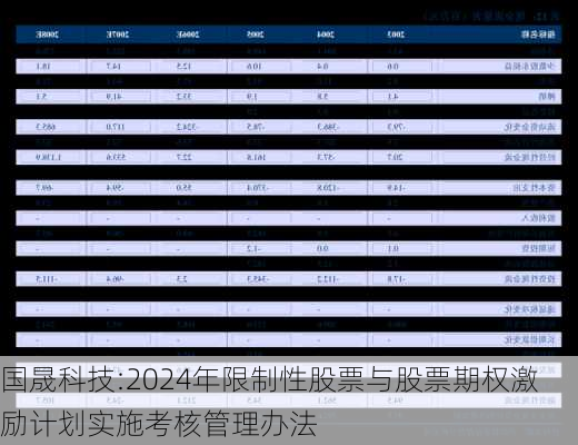 国晟科技:2024年限制性股票与股票期权激励计划实施考核管理办法-第1张图片-苏希特新能源