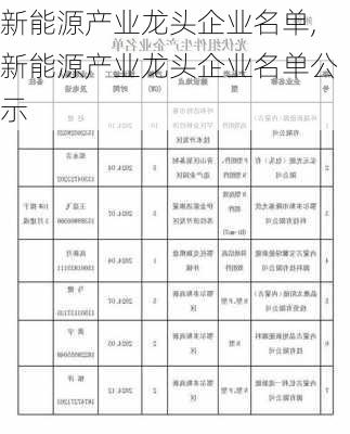 新能源产业龙头企业名单,新能源产业龙头企业名单公示-第2张图片-苏希特新能源