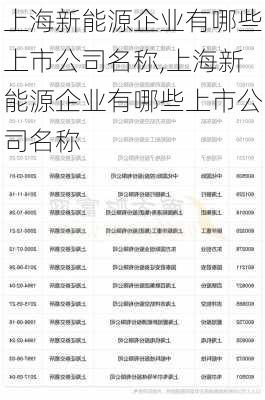 上海新能源企业有哪些上市公司名称,上海新能源企业有哪些上市公司名称