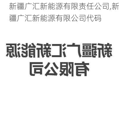 新疆广汇新能源有限责任公司,新疆广汇新能源有限公司代码-第2张图片-苏希特新能源