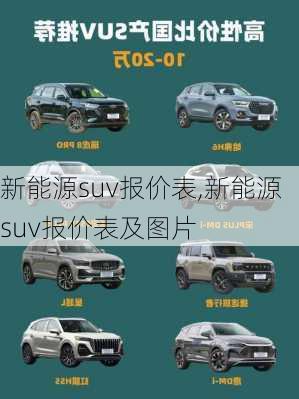 新能源suv报价表,新能源suv报价表及图片-第3张图片-苏希特新能源