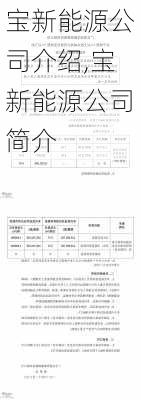 宝新能源公司介绍,宝新能源公司简介